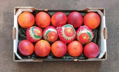 Foto Arance Tarocco Calibro 2  Varietà Lempso Origine Italia Marchio 'Eccellenza Capitale' 3